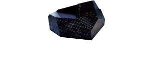 Interview with graduates